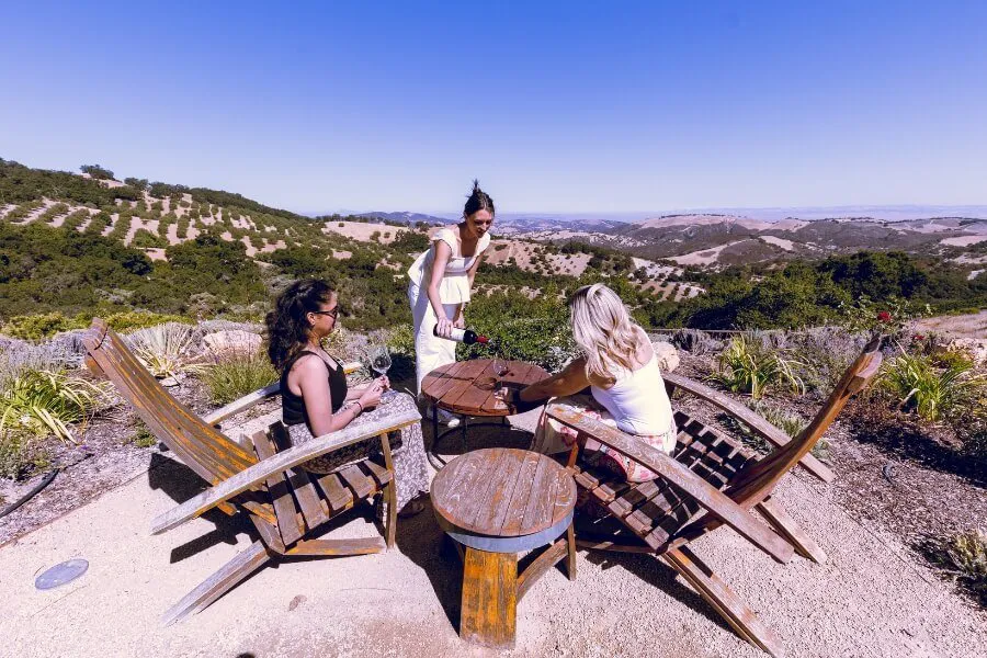 Guests enjoy a Grapeline Wine tour in Paso Robles