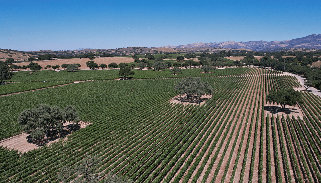 SN Private - Scenic Vineyard in Sonoma Valley