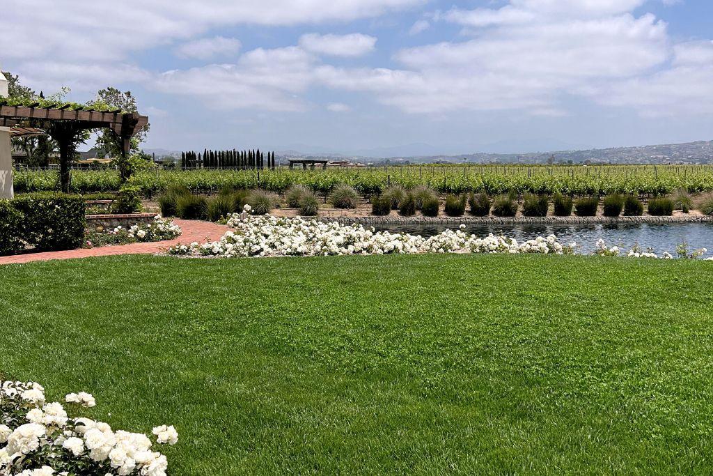 Ponte Vineyard Inn