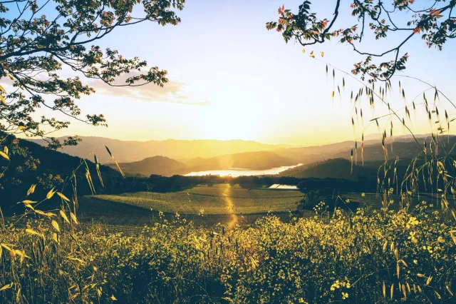 Beautiful Landscape of Paso Robles California with Vineyards under a Sun Peaked Valley