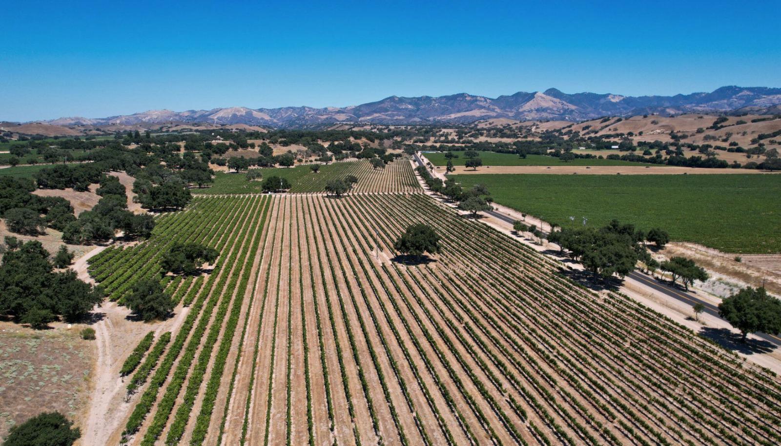 Picturesque Napa Valley landscape
