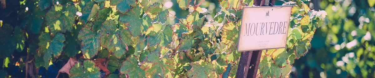 northern and southern california wineries