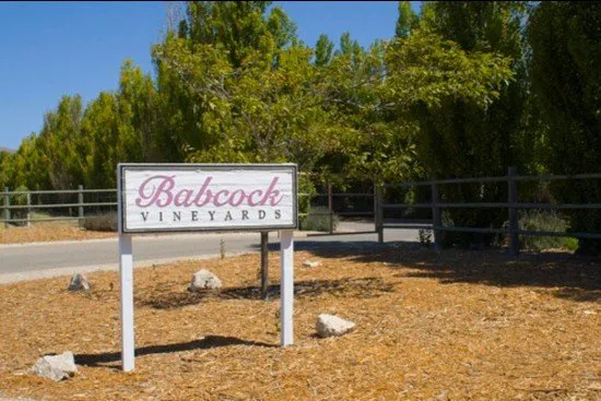 Babcock Winery