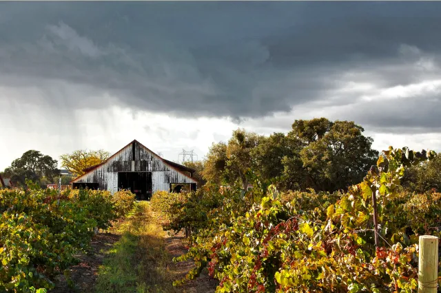Steinbeck Vineyards & Winery in Paso Robles