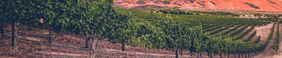 northern and southern california wineries