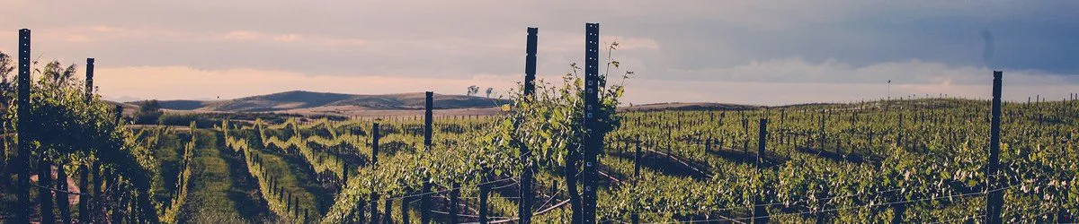 northern and southern california wineries