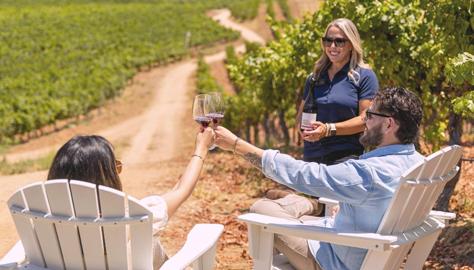 A couple enjoying a private wine tasting