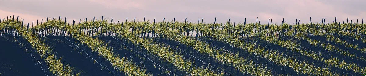 northern and southern california wineries