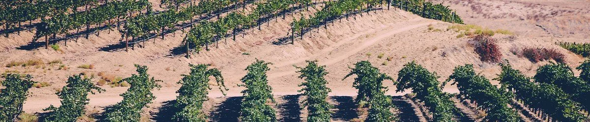 northern and southern california wineries