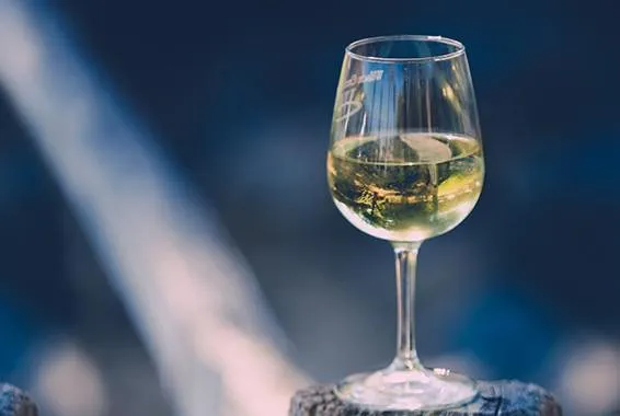 Half a glass of Chardonnay in sharp focus