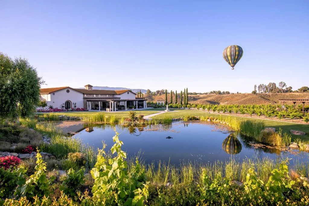 Avensole Winery (Reopening as "Truffle Pig" in Spring 2025)