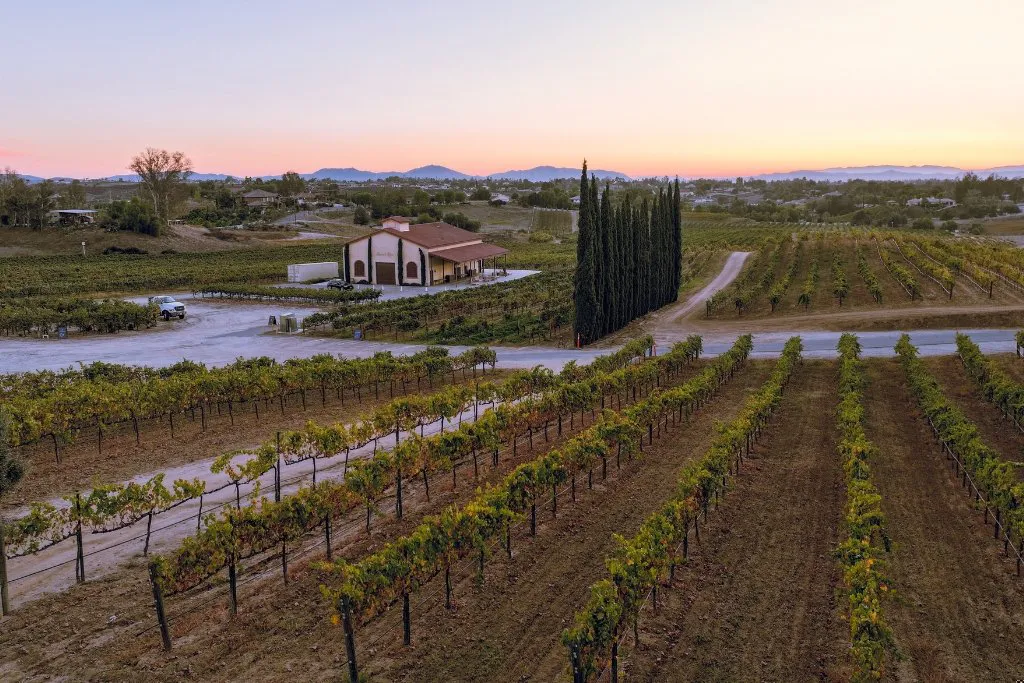 Danza del Sol Winery