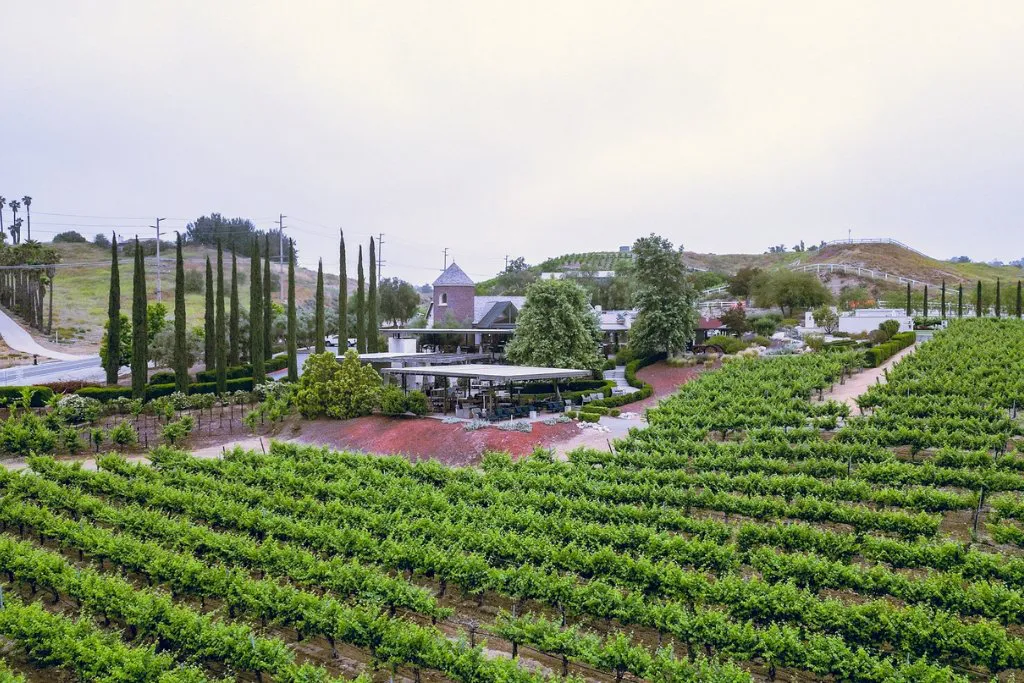Leoness Cellars