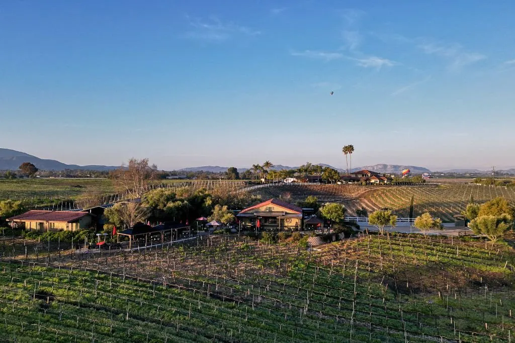 Lorenzi Estate