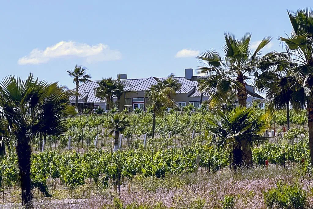 Raúl Ramirez Bodegas Y Viñedos