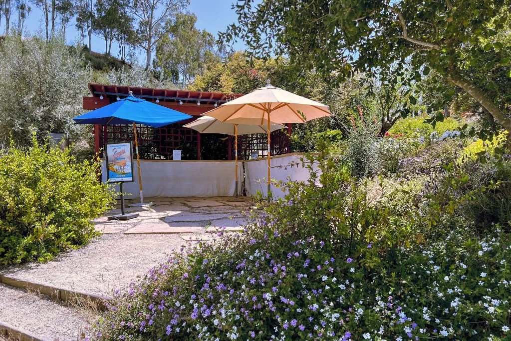 Vindemia Vineyard & Winery