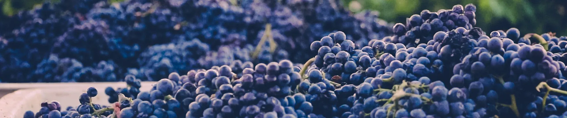faq image header